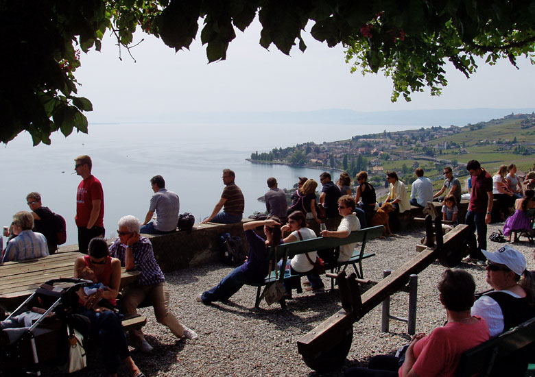 Lavaux